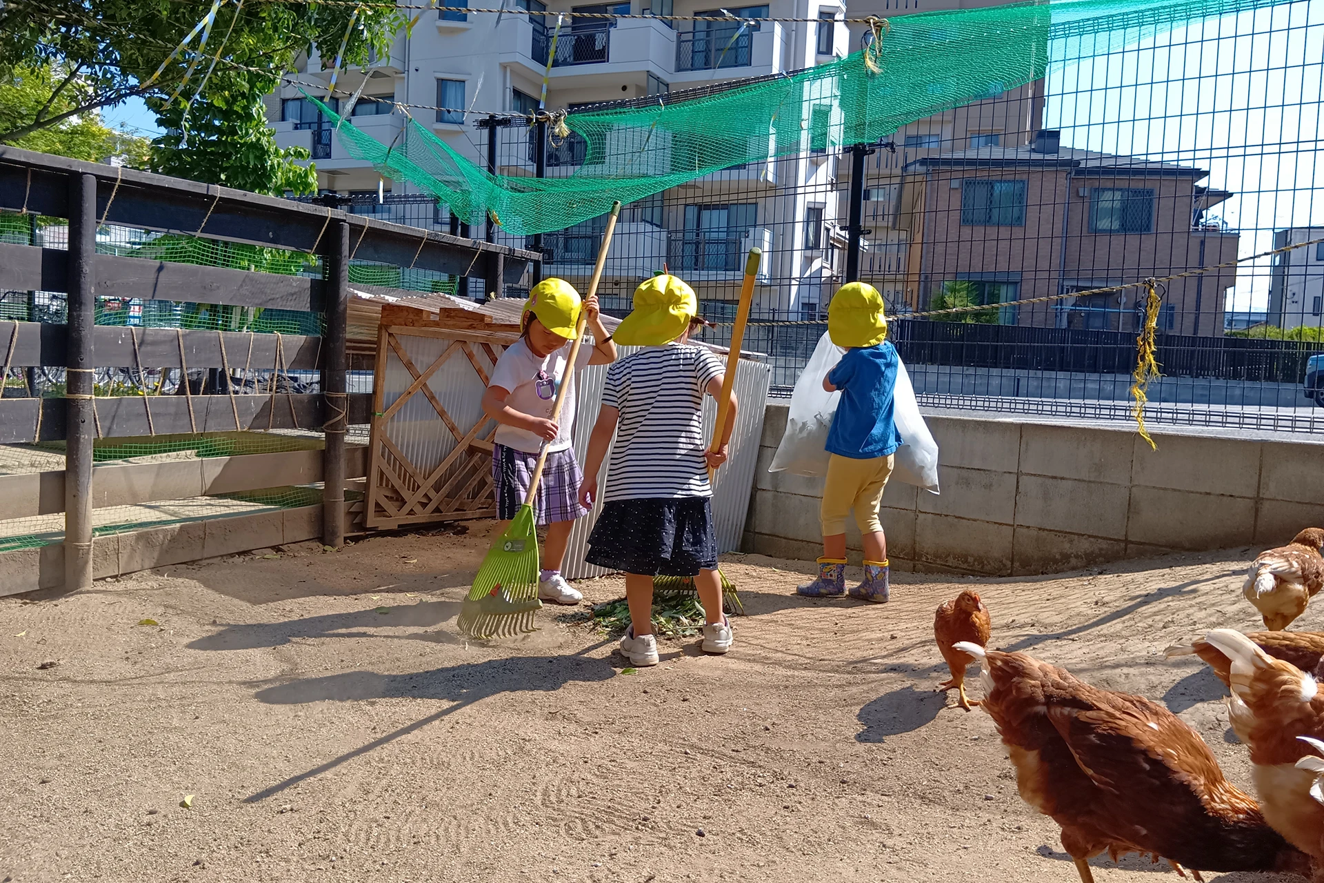 三筑どろんこ保育園 活動写真