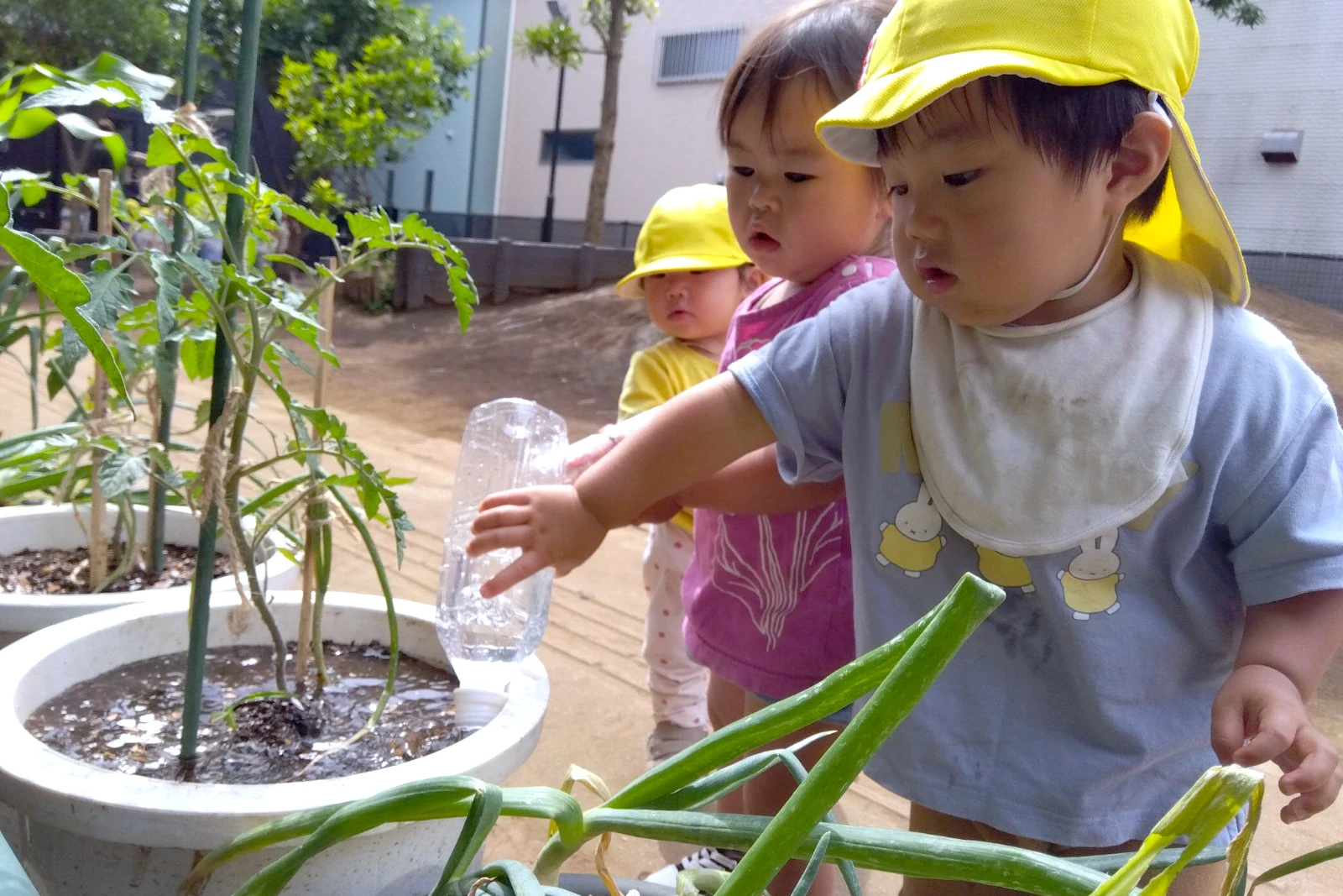 志木どろんこ保育園 活動写真
