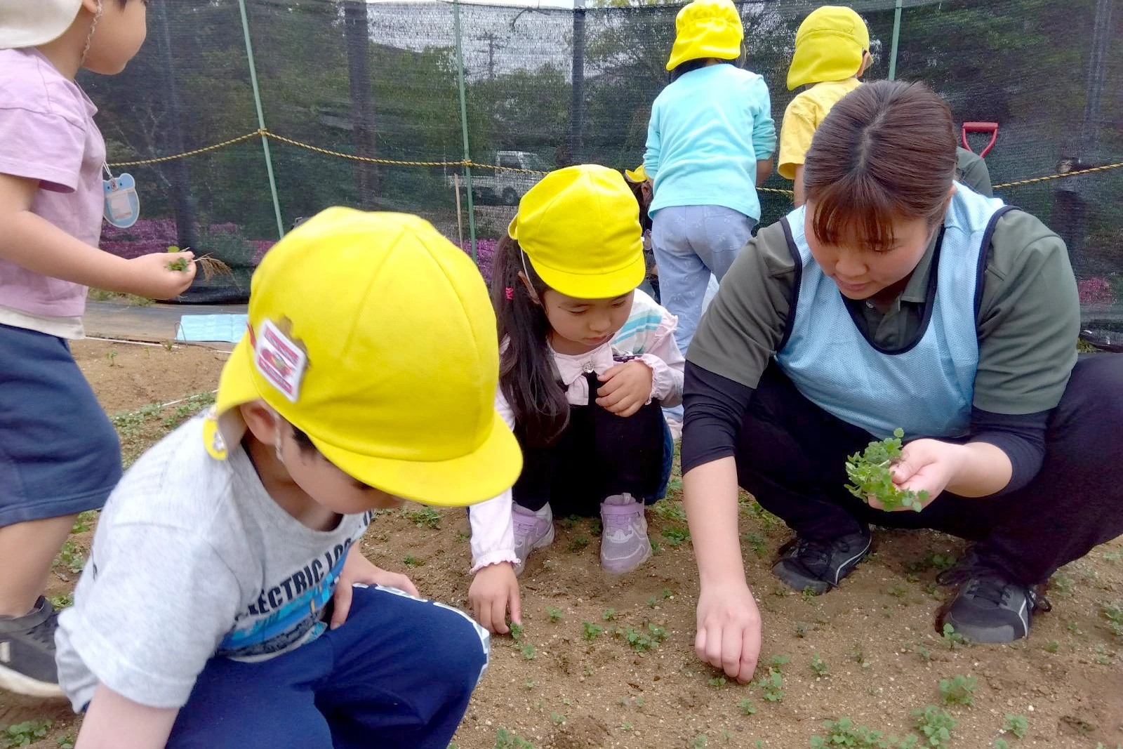 志木どろんこ保育園 活動写真