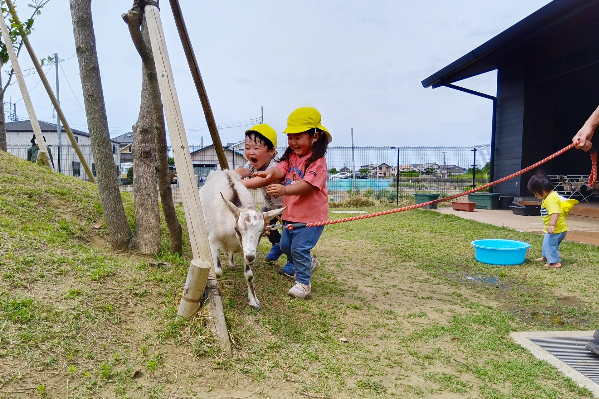 袖ケ浦どろんこ保育園 活動写真