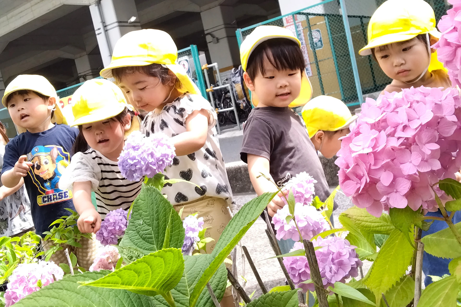 草加松原どろんこ保育園 活動写真