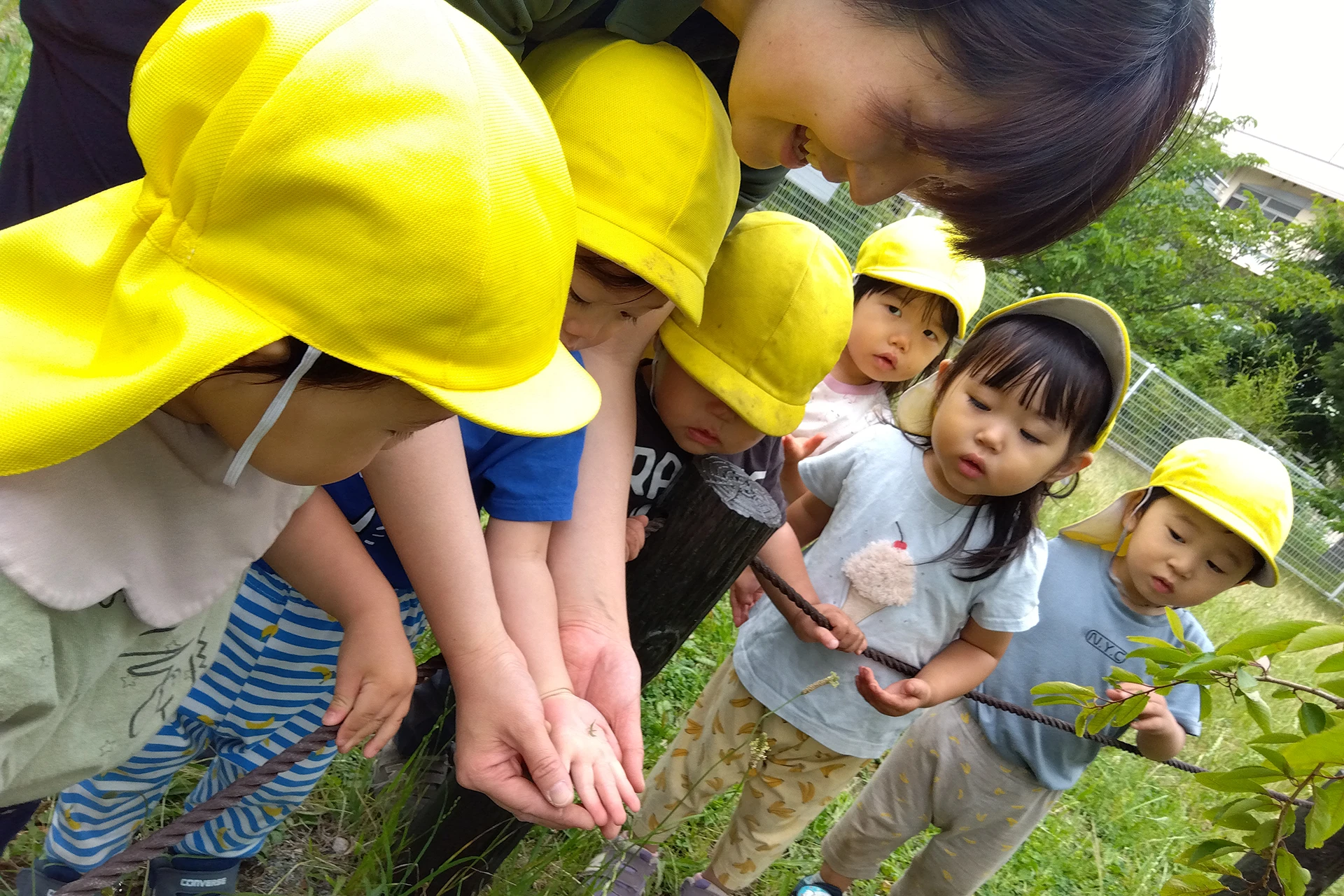 草加松原どろんこ保育園 活動写真