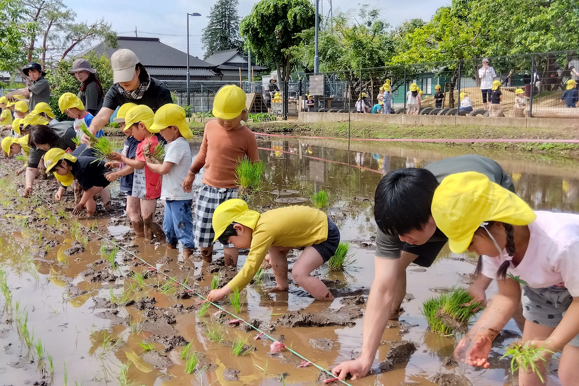 つくばどろんこ保育園 活動写真