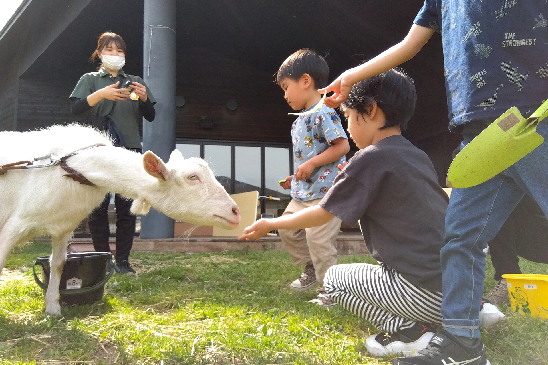 つつじヶ丘どろんこ保育園 活動写真