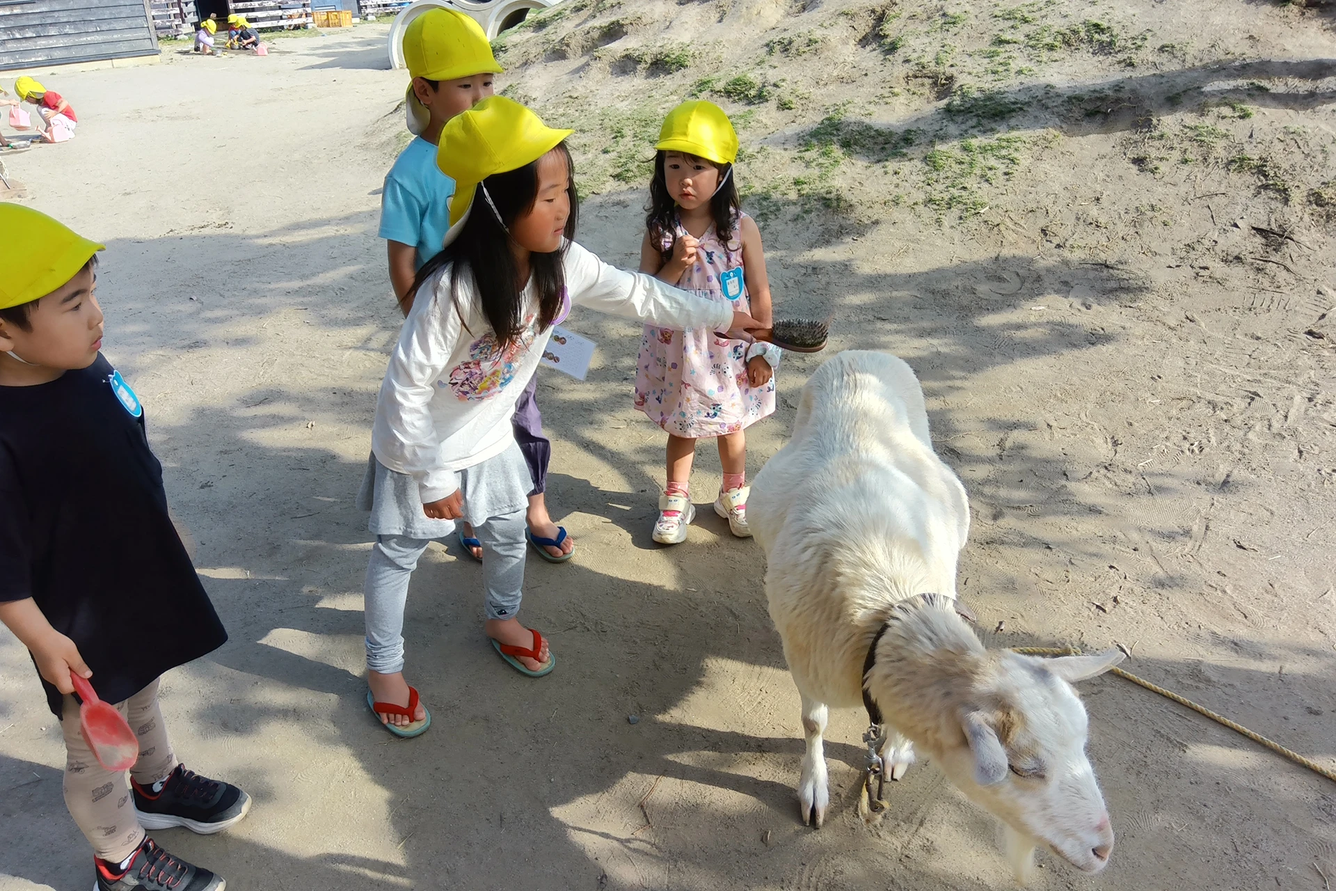 若林どろんこ保育園 活動写真