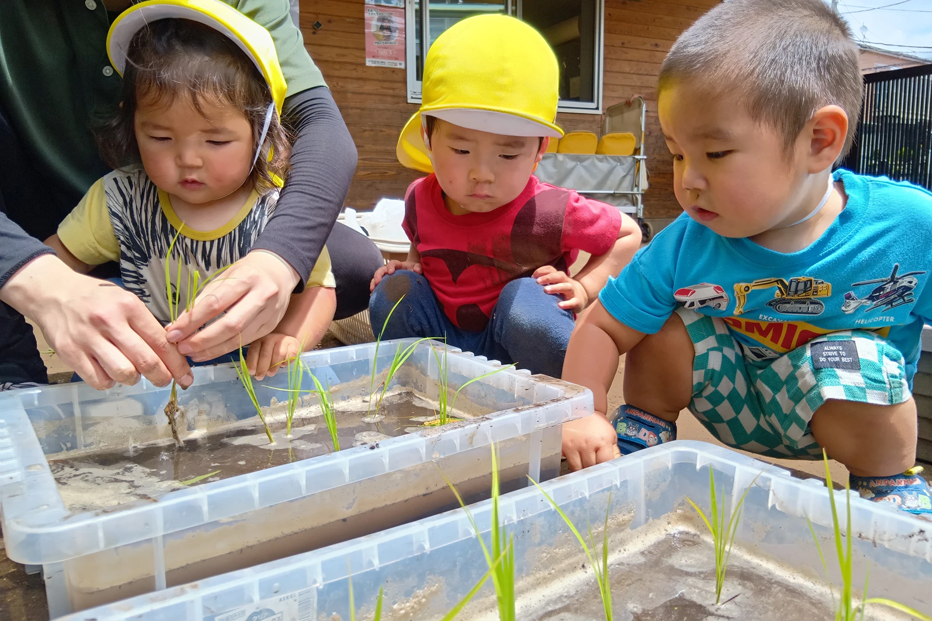 和光どろんこ保育園 活動写真
