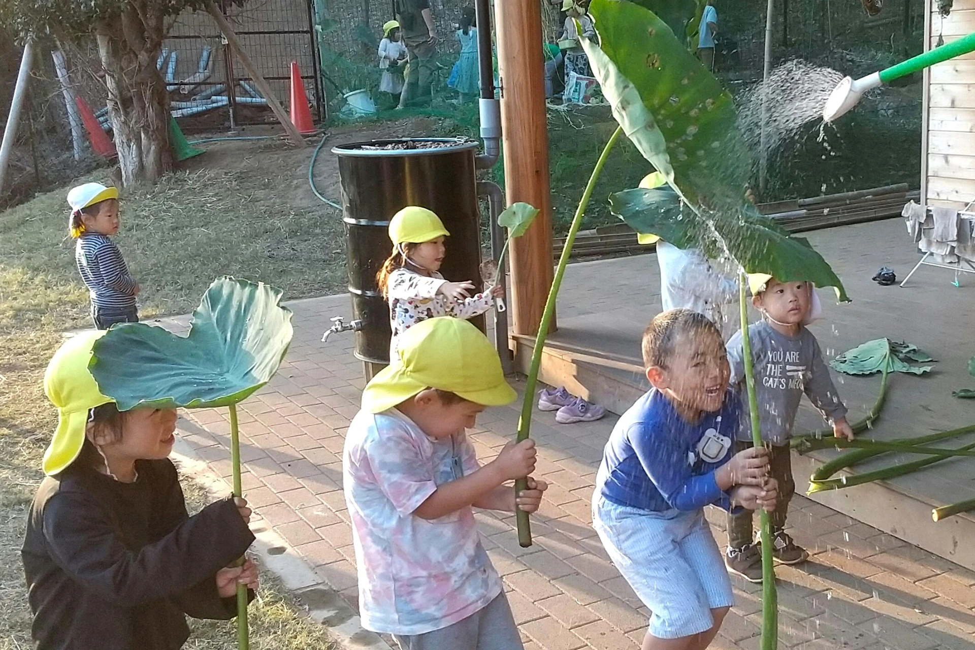 読売ランド前どろんこ保育園 活動写真
