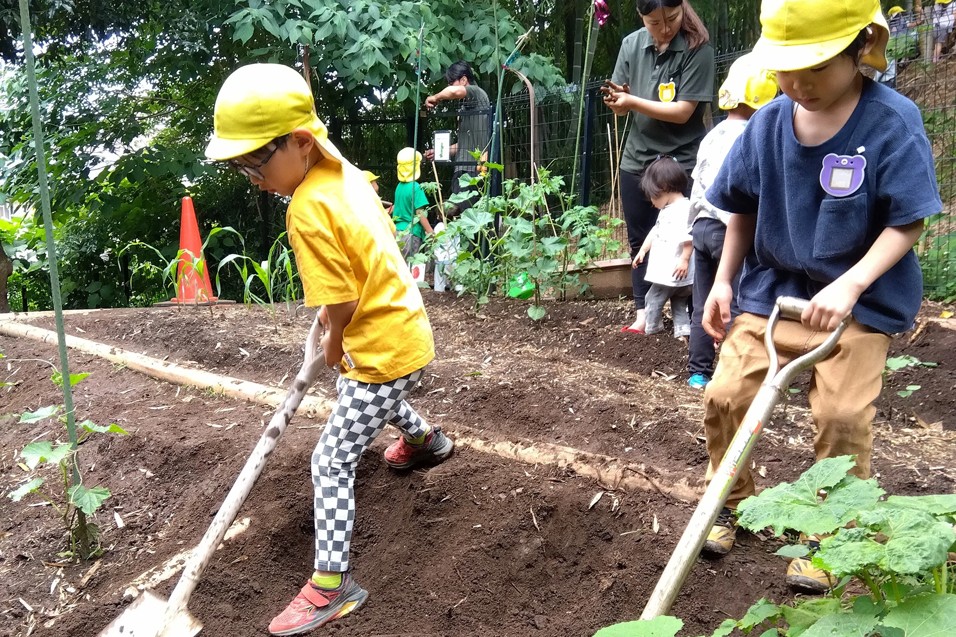 読売ランド前どろんこ保育園 活動写真