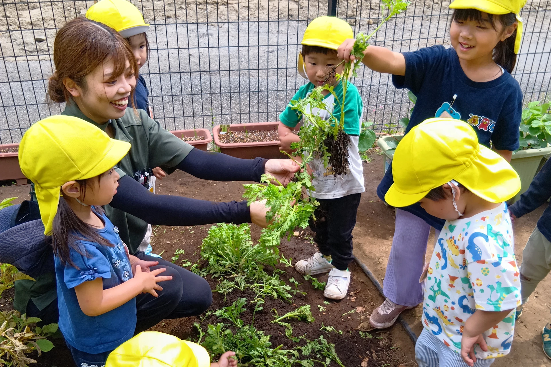 まめどくれっしゅ 活動写真