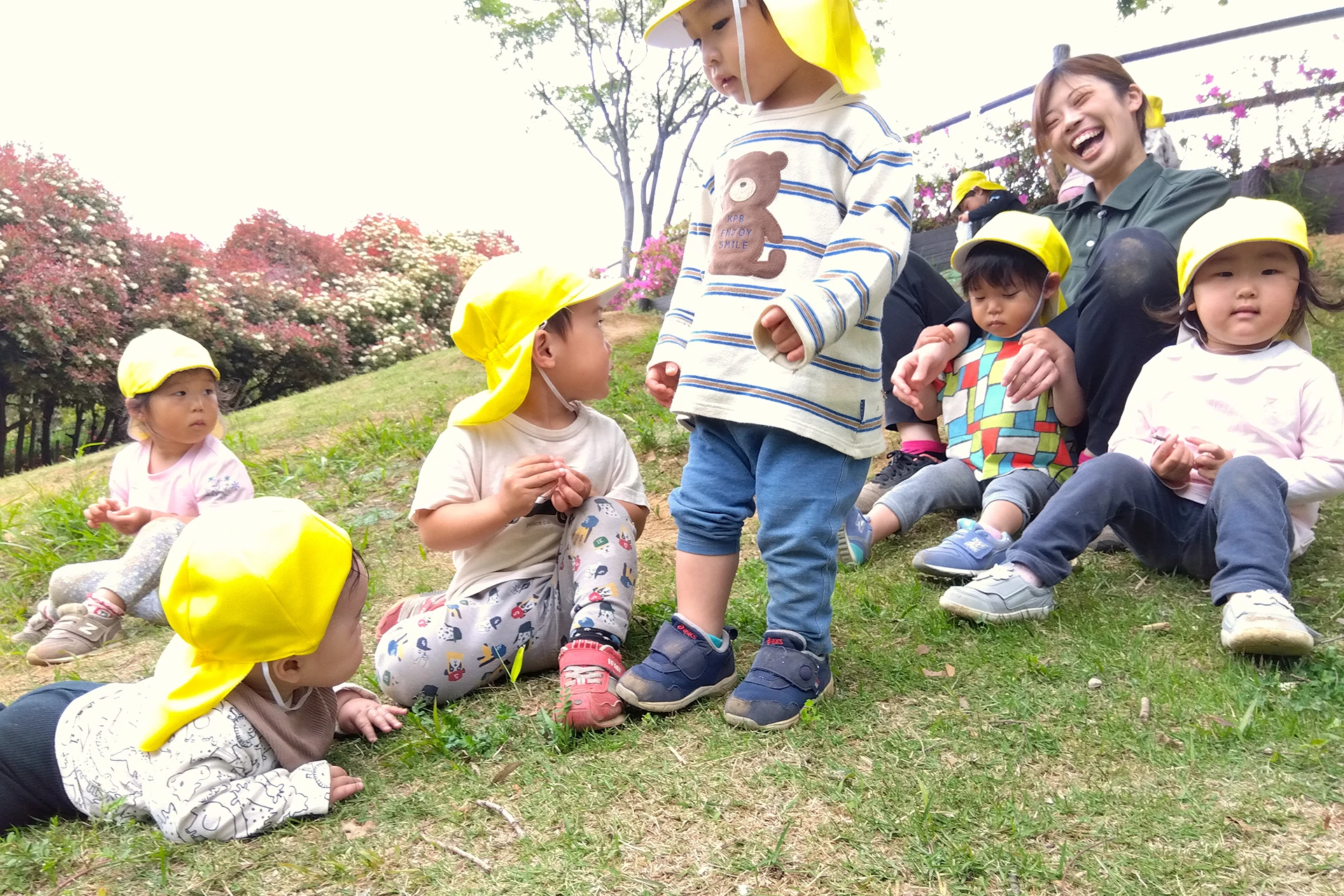 まめどくれっしゅ 活動写真