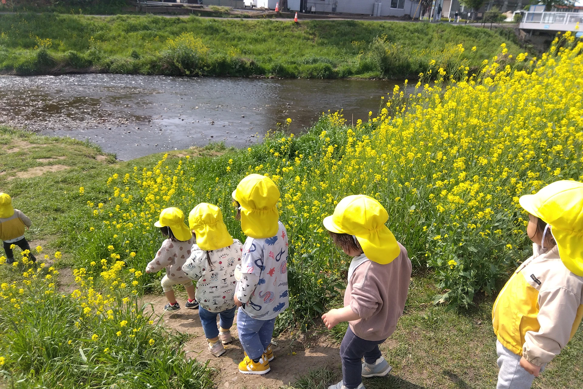 メリー★ポピンズ 朝霞台ルーム 活動写真