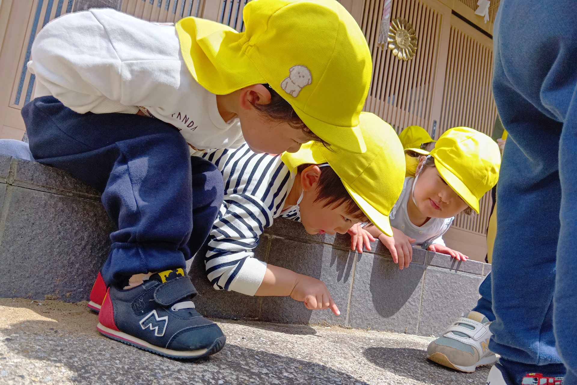 メリー★ポピンズ 市川ルーム 活動写真