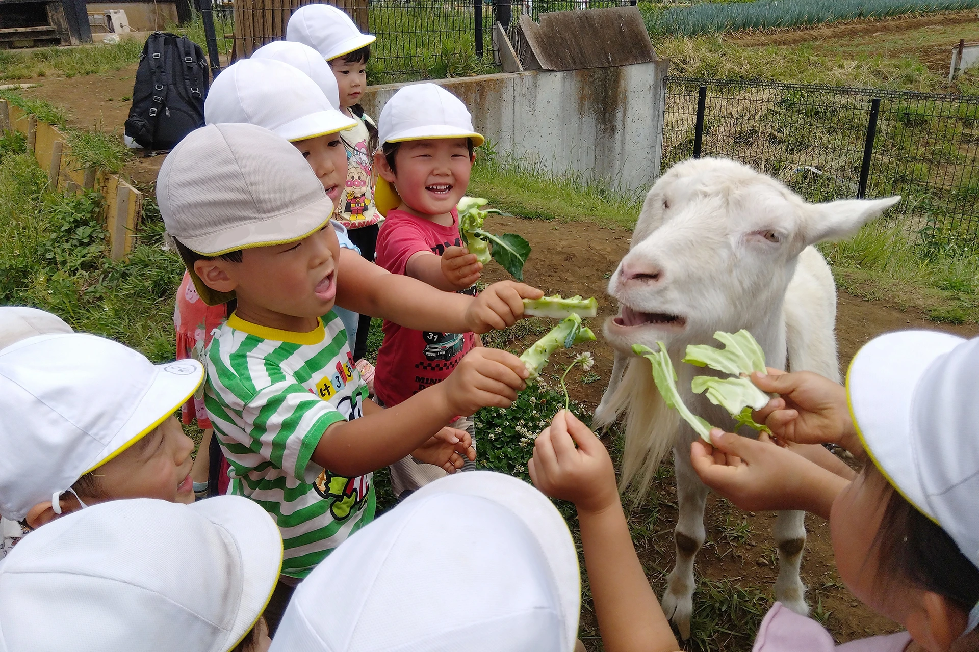 メリー★ポピンズ kids北朝霞ルーム 活動写真
