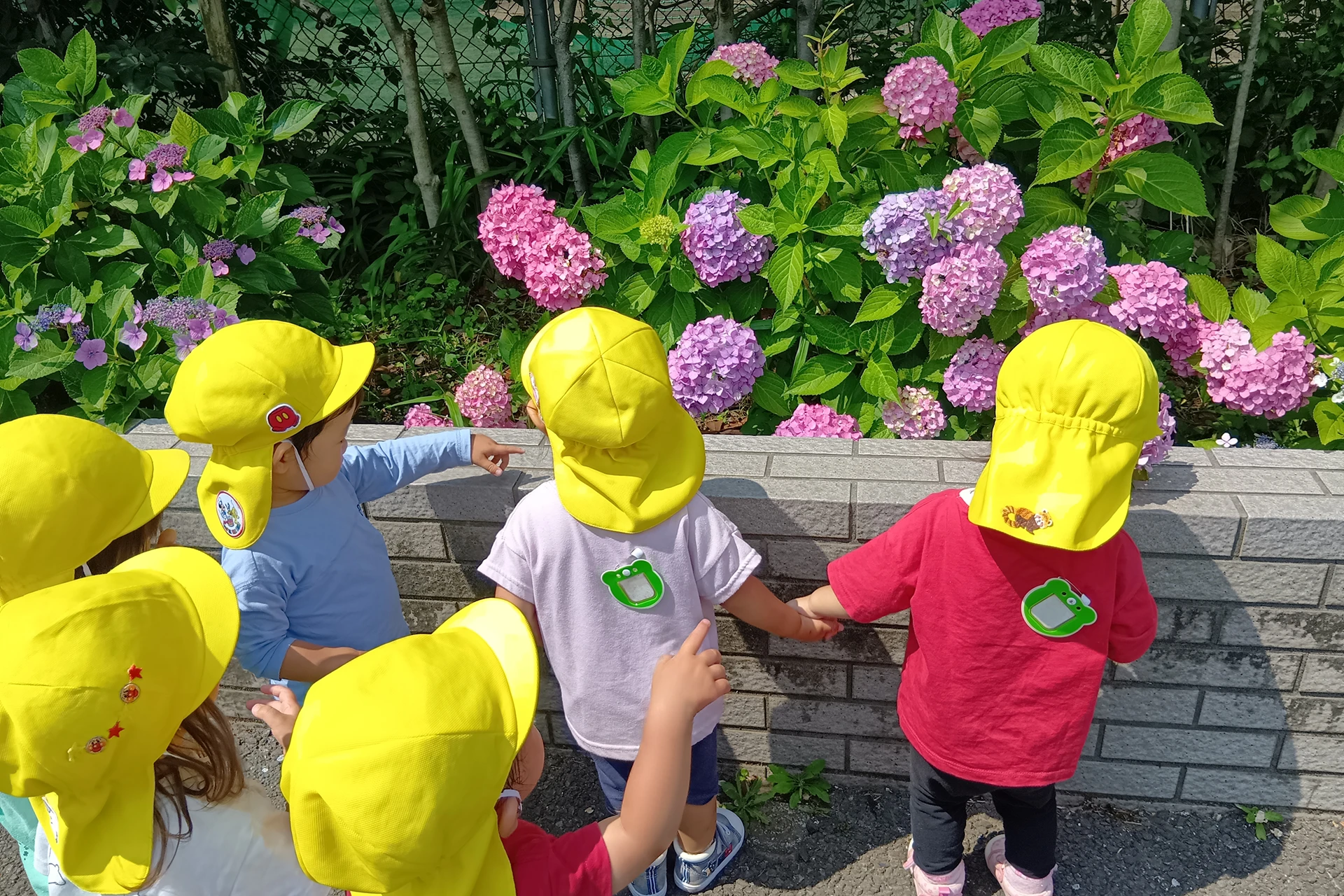 メリー★ポピンズ 清瀬ルーム 活動写真