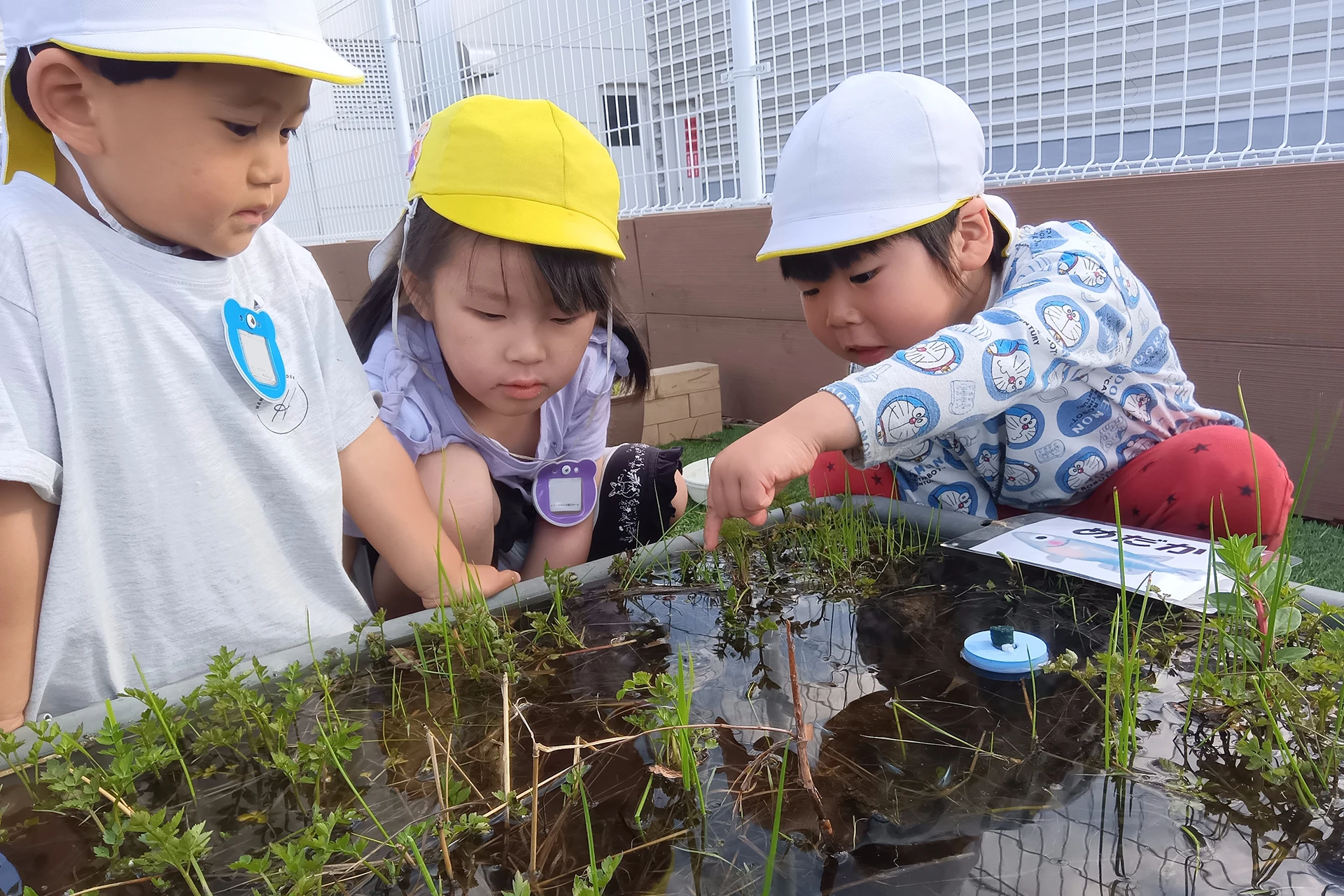 メリー★ポピンズ 桶川ルーム 活動写真