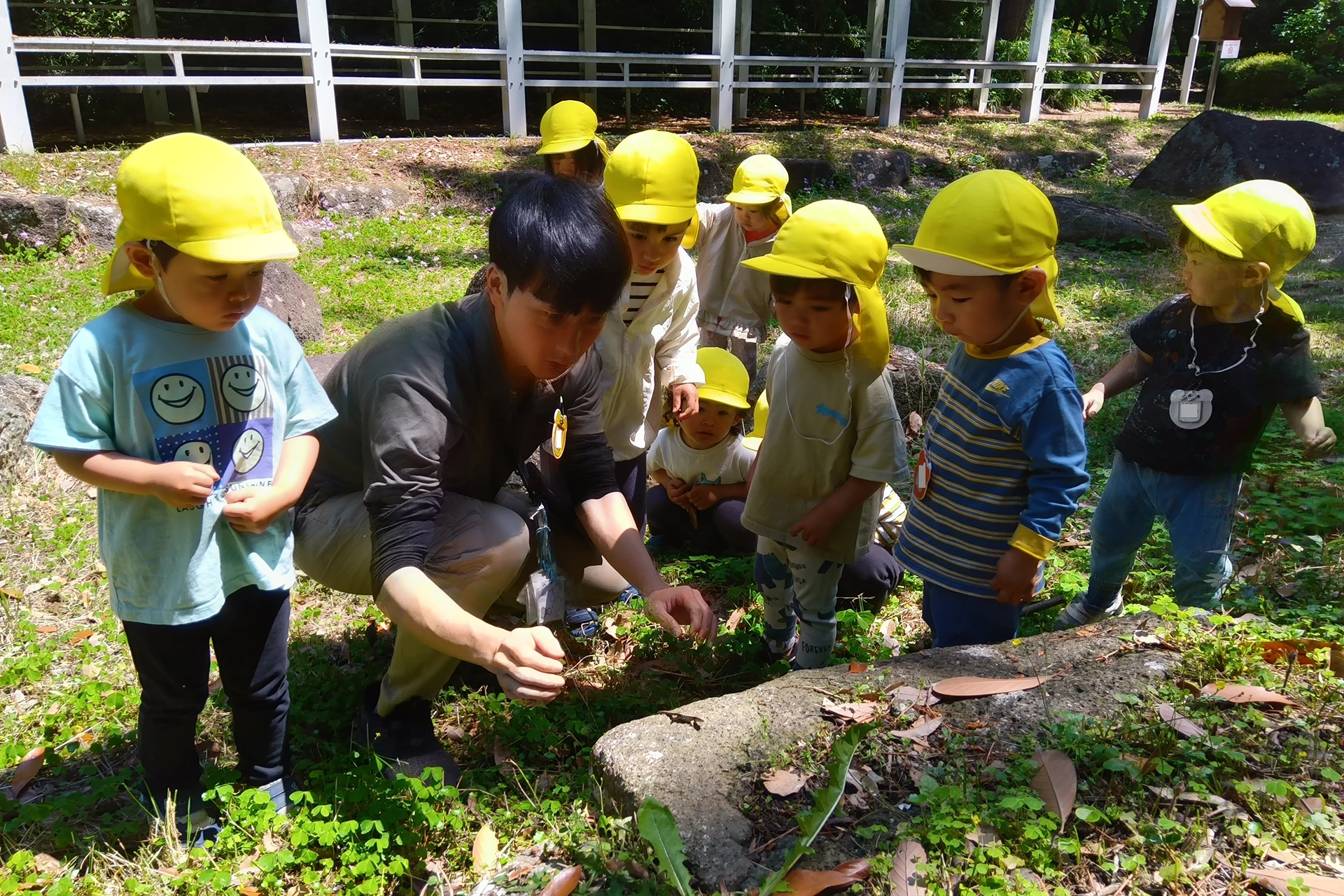 メリー★ポピンズ 豊洲ルーム 活動写真