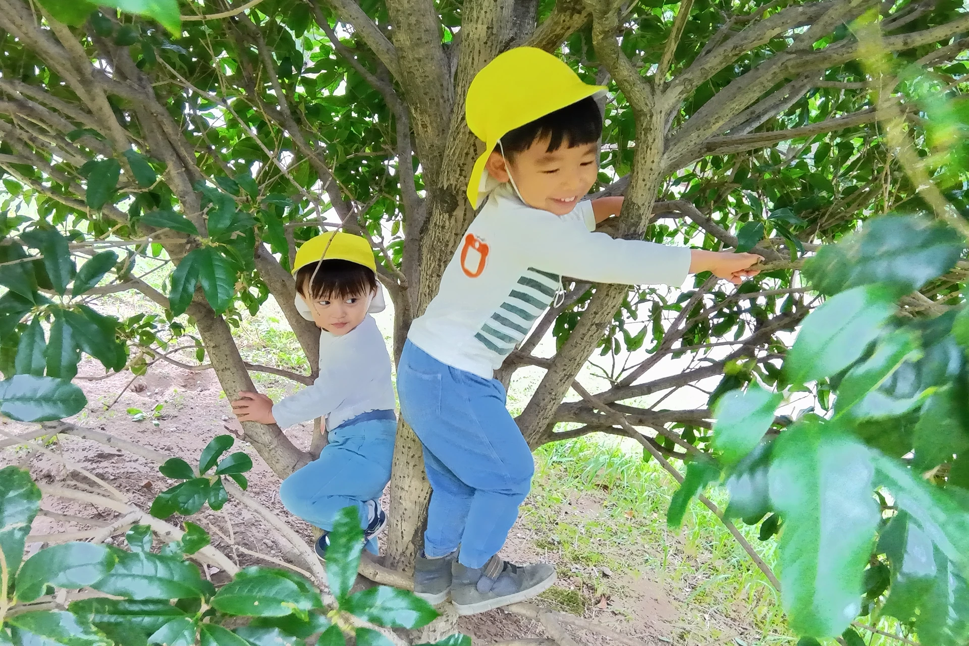 メリー★ポピンズ 豊洲ルーム 活動写真