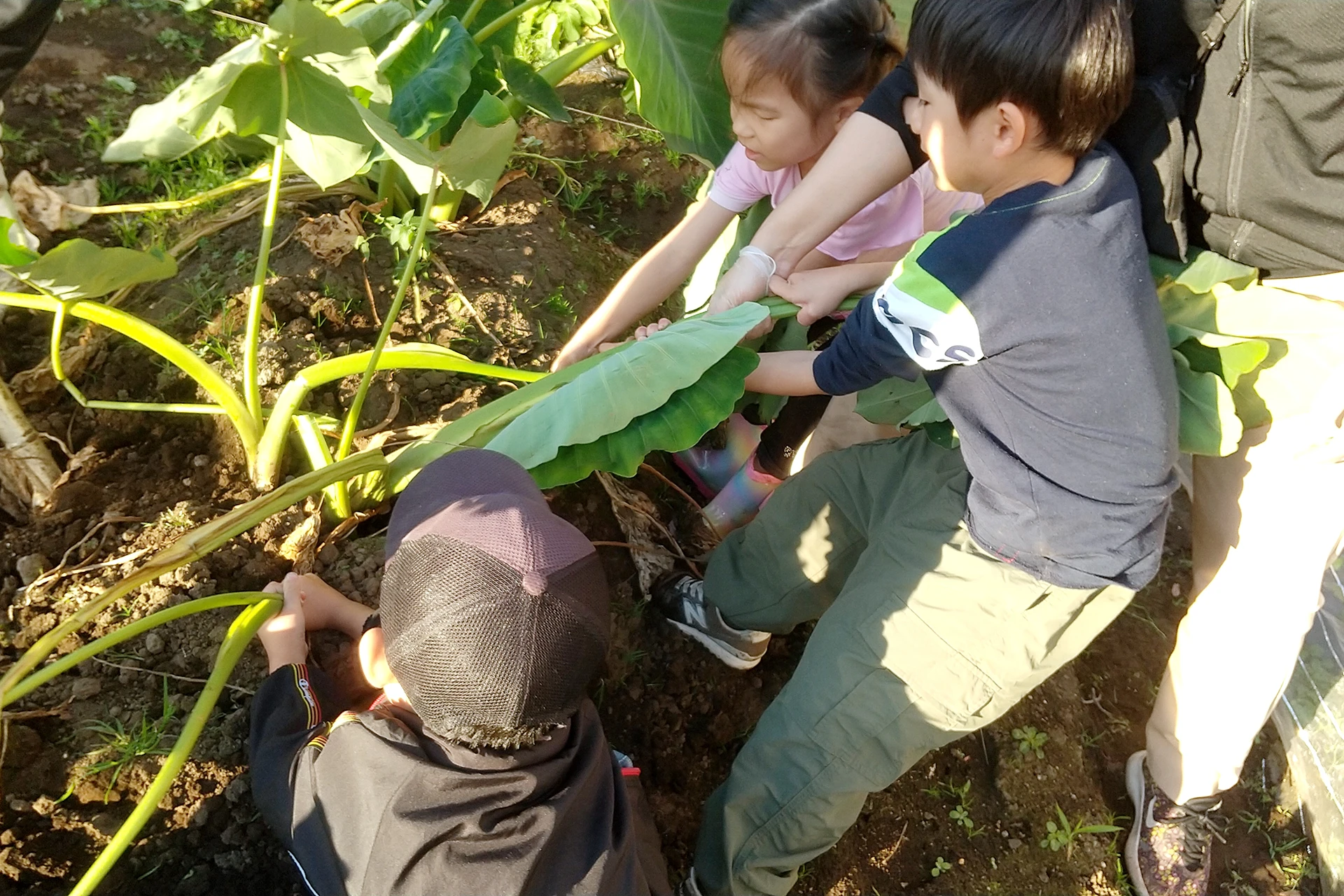 発達支援つむぎ 荻窪ルーム 活動写真