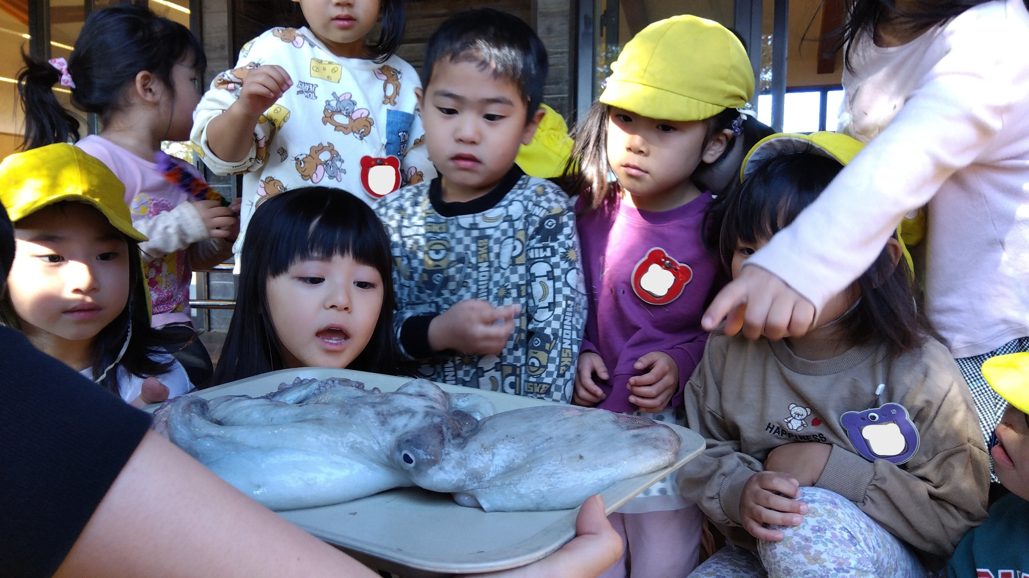 タコに驚く子どもたち