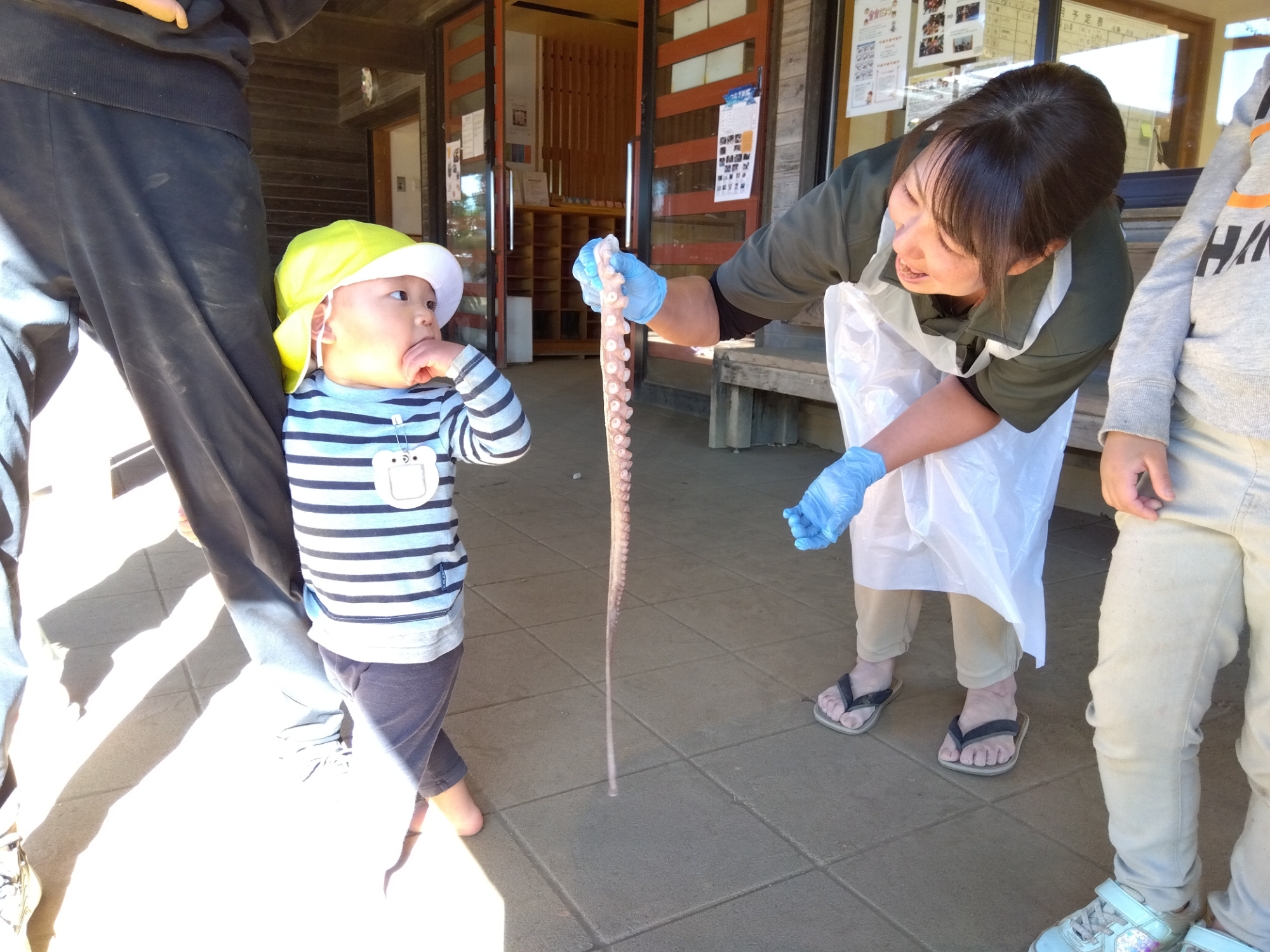 タコの足と子ども