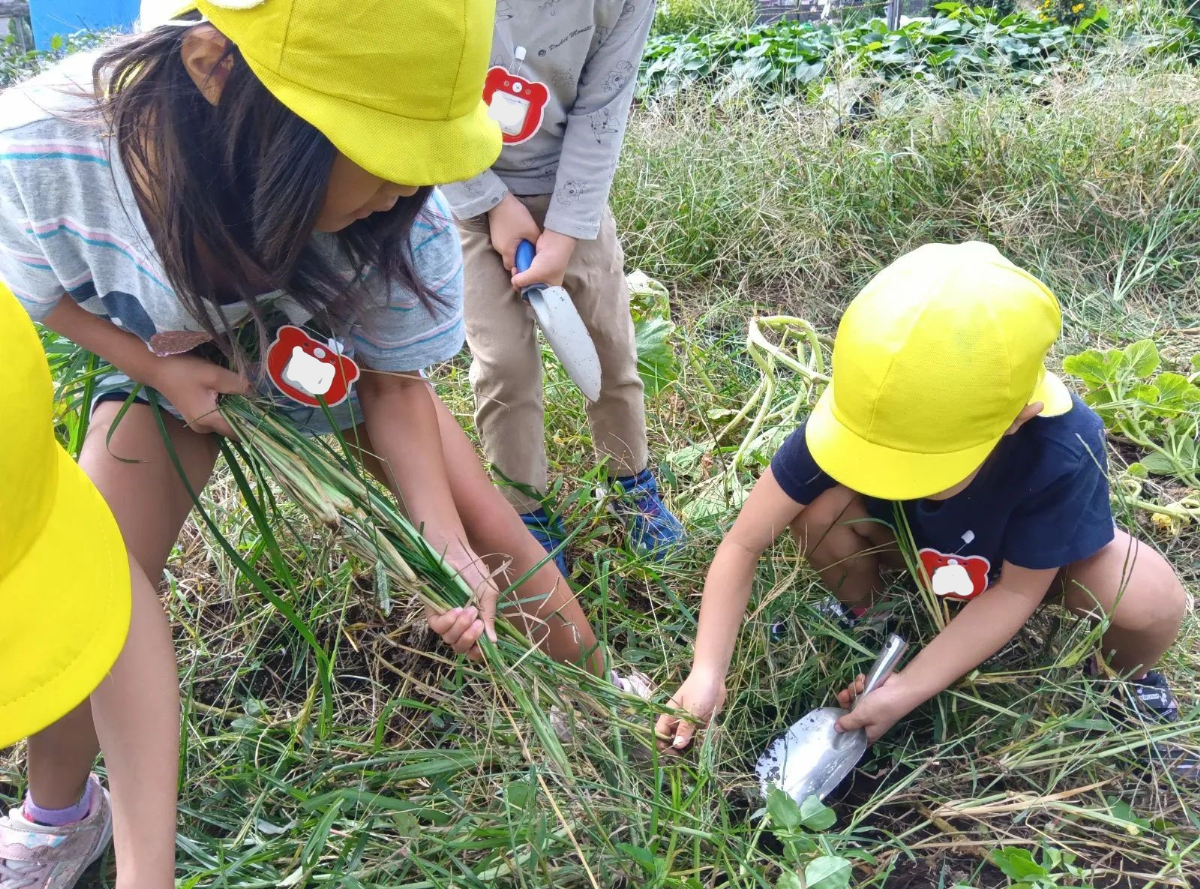 草むしりをする子どもたち